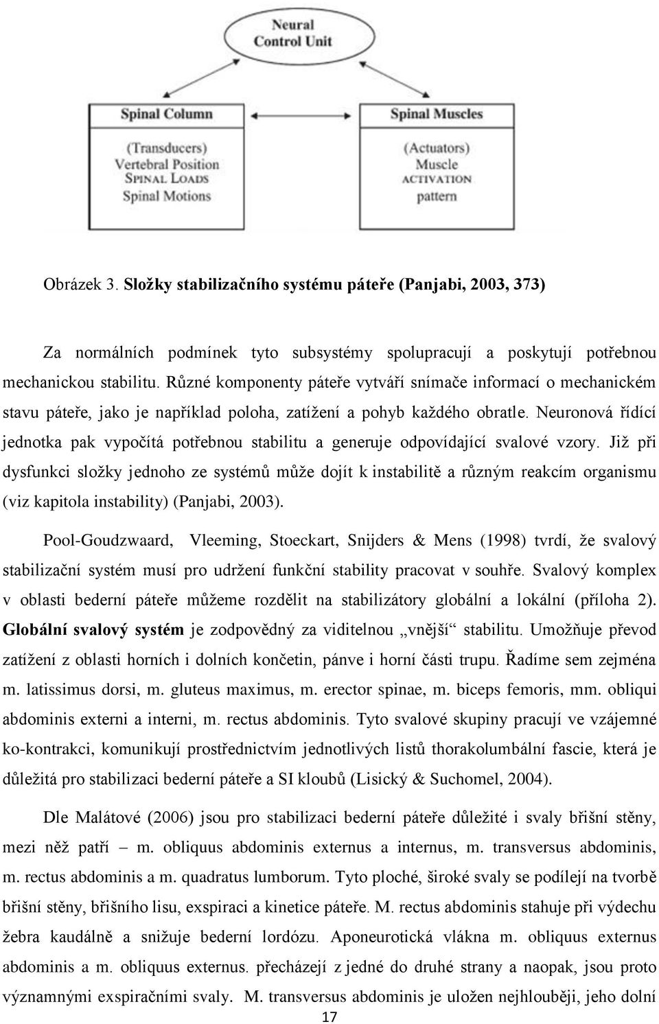 Neuronová řídící jednotka pak vypočítá potřebnou stabilitu a generuje odpovídající svalové vzory.