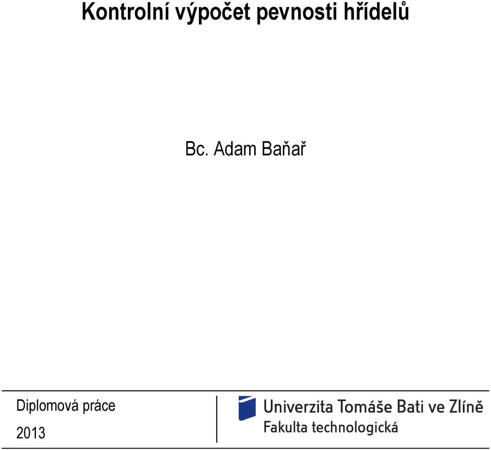 Bc. Adam Baňař