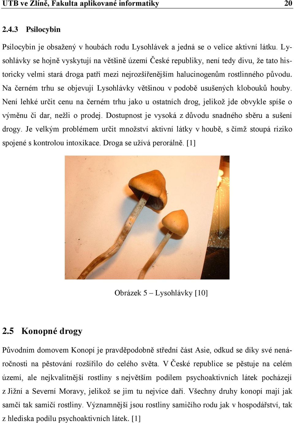 Na černém trhu se objevují Lysohlávky většinou v podobě usušených klobouků houby. Není lehké určit cenu na černém trhu jako u ostatních drog, jelikož jde obvykle spíše o výměnu či dar, nežli o prodej.