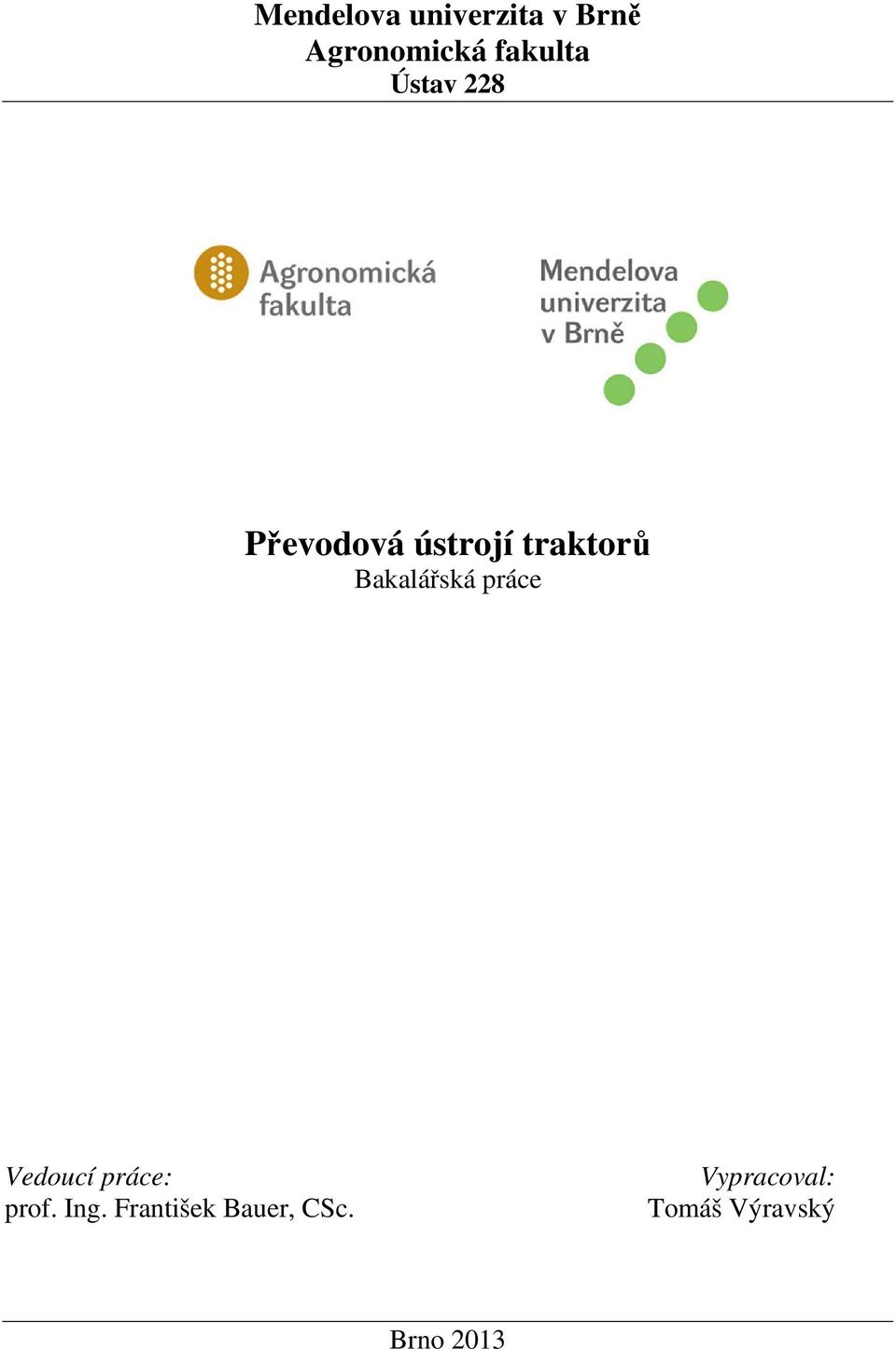 Bakalářská práce Vedoucí práce: prof. Ing.