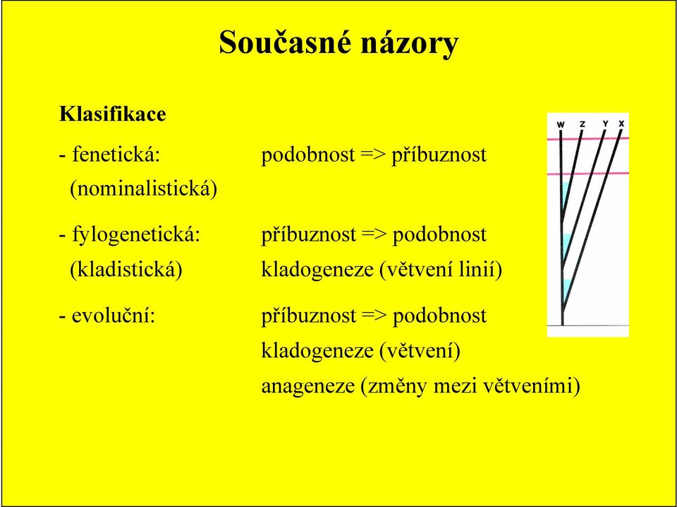 podobnost (kladistická) kladogeneze (větvení linií) - evoluční: