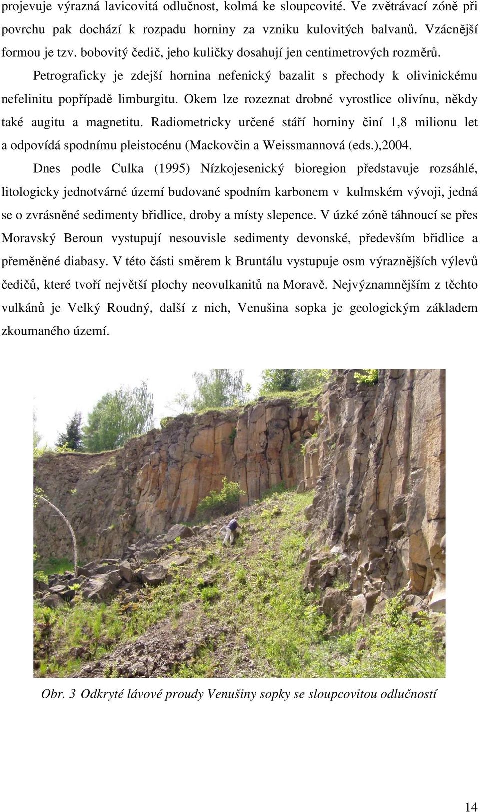 Okem lze rozeznat drobné vyrostlice olivínu, někdy také augitu a magnetitu. Radiometricky určené stáří horniny činí 1,8 milionu let a odpovídá spodnímu pleistocénu (Mackovčin a Weissmannová (eds.