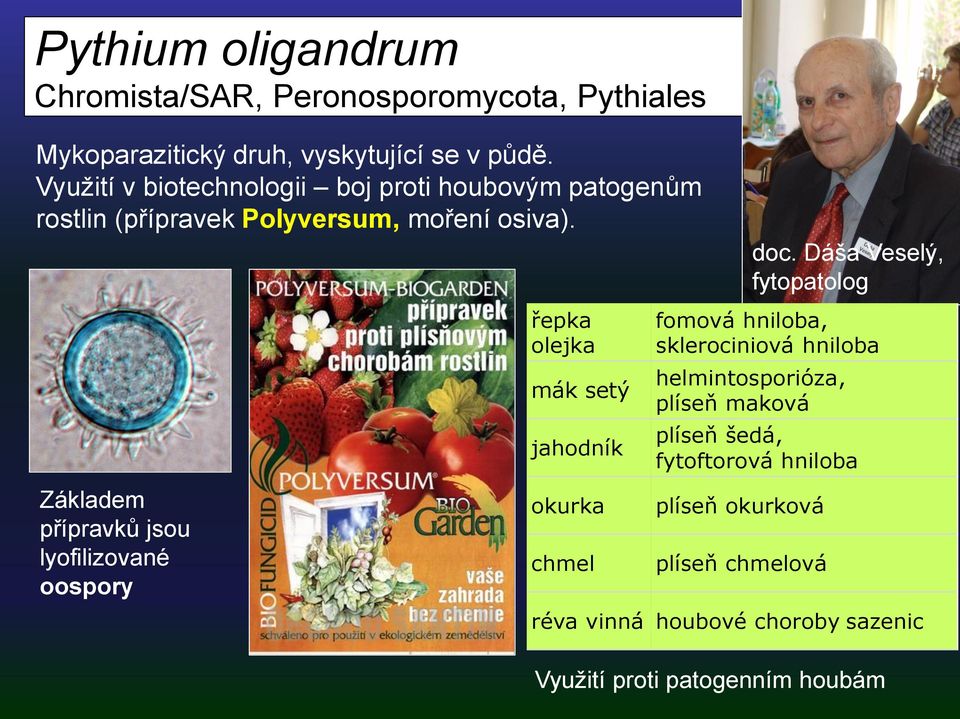 Dáša Veselý, fytopatolog Základem přípravků jsou lyofilizované oospory řepka olejka mák setý jahodník okurka chmel fomová hniloba,
