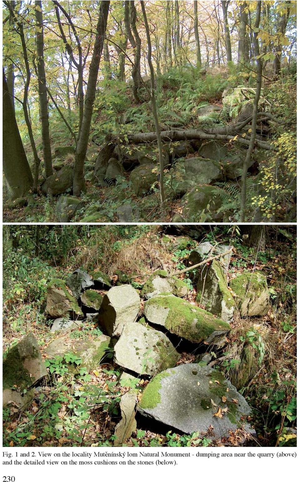 Monument - dumping area near the quarry