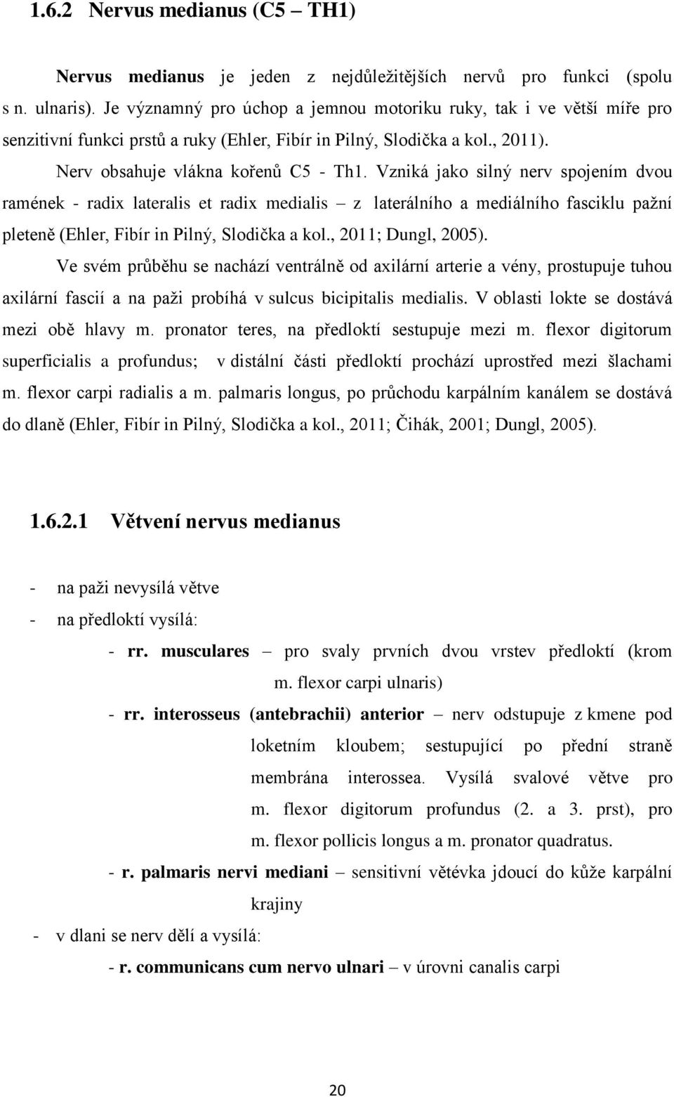 Vzniká jako silný nerv spojením dvou ramének - radix lateralis et radix medialis z laterálního a mediálního fasciklu pažní pleteně (Ehler, Fibír in Pilný, Slodička a kol., 2011; Dungl, 2005).