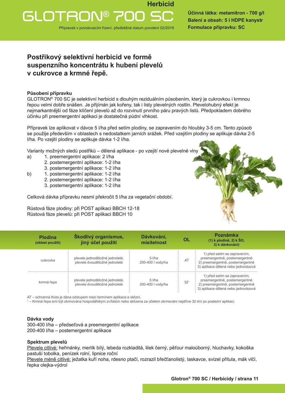 Působení přípravku GLOTRON 700 SC je selektivní herbicid s dlouhým reziduálním působením, který je cukrovkou i krmnou řepou velmi dobře snášen. Je přijímán jak kořeny, tak i listy plevelných rostlin.