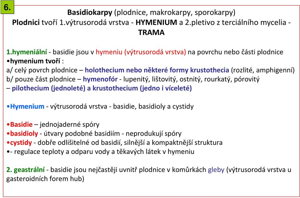 část plodnice hymenofór- lupenitý, lištovitý, ostnitý, rourkatý, pórovitý pilothecium(jednoleté) a krustothecium(jedno i víceleté) Hymenium- výtrusorodá vrstva - basidie, basidioly a cystidy Basidie