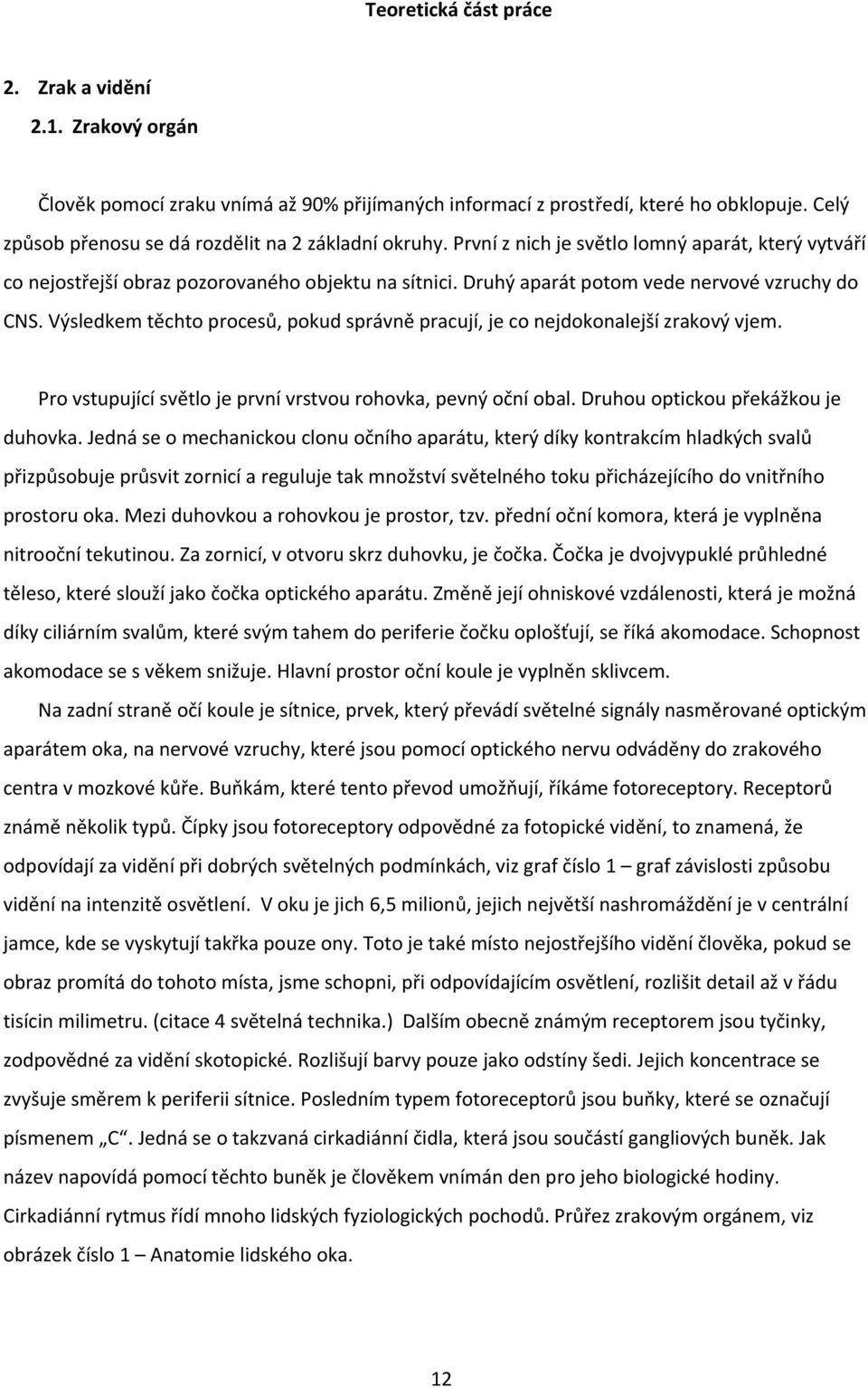 Druhý aparát potom vede nervové vzruchy do CNS. Výsledkem těchto procesů, pokud správně pracují, je co nejdokonalejší zrakový vjem. Pro vstupující světlo je první vrstvou rohovka, pevný oční obal.
