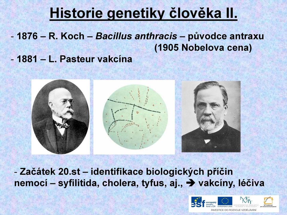 cena) - 1881 L. Pasteur vakcína - Začátek 20.