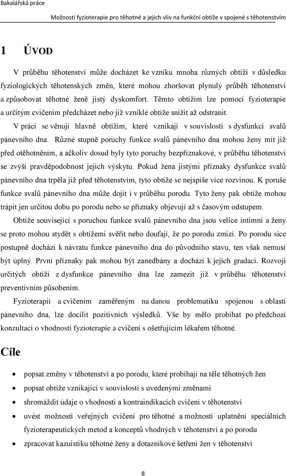 V práci se věnuji hlavně obtížím, které vznikají v souvislosti s dysfunkcí svalů pánevního dna.