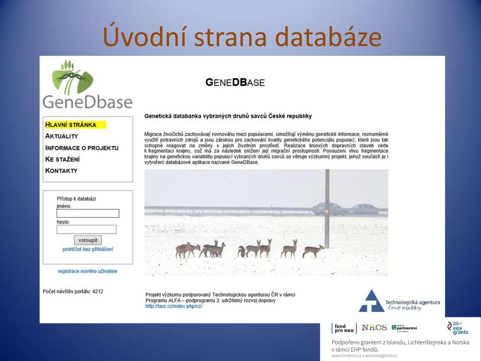 databáze