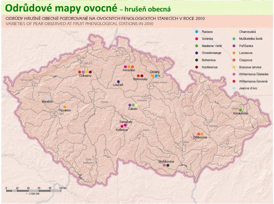 ovocné