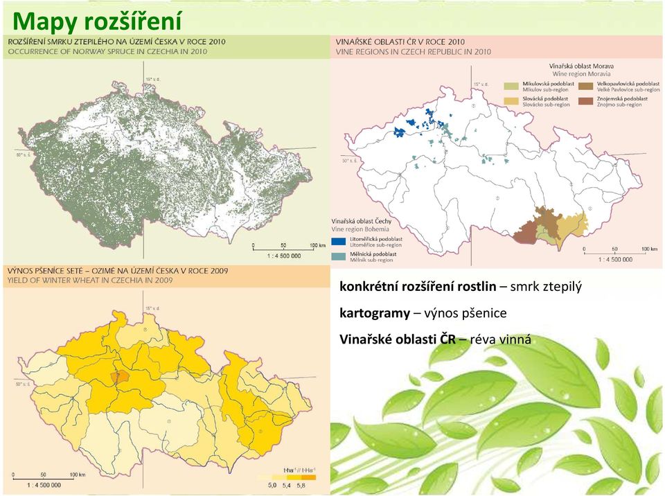 ztepilý kartogramy výnos