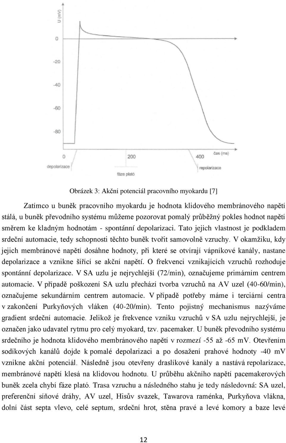 V okamžiku, kdy jejich membránové napětí dosáhne hodnoty, při které se otvírají vápníkové kanály, nastane depolarizace a vznikne šířící se akční napětí.