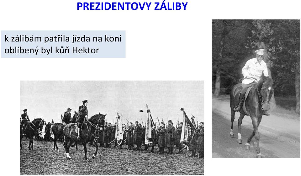 oblíbený byl kůň