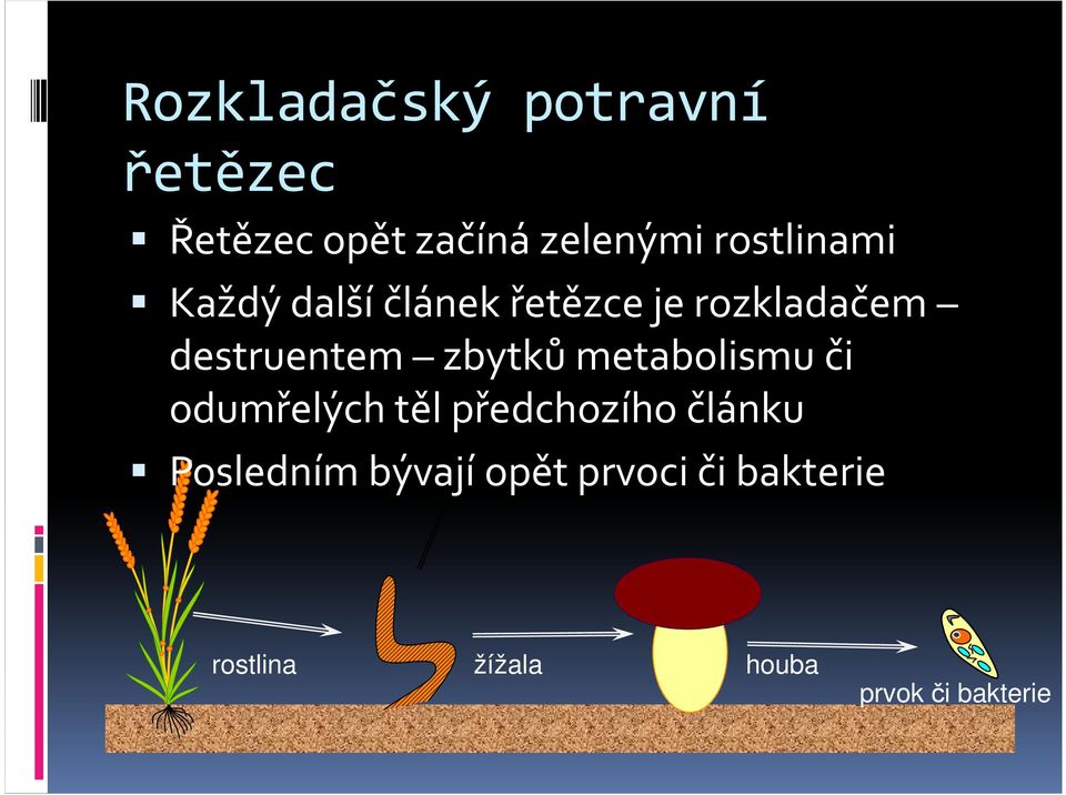 zbytků metabolismu či odumřelých těl předchozího článku