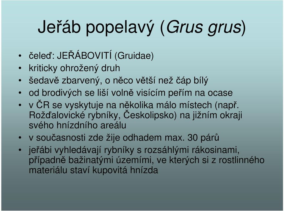 Rožďalovické rybníky, Českolipsko) na jižním okraji svého hnízdního areálu v současnosti zde žije odhadem max.