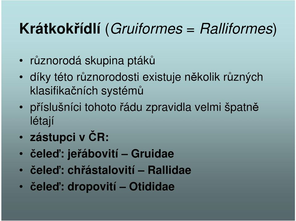 příslušníci tohoto řádu zpravidla velmi špatně létají zástupci v ČR: