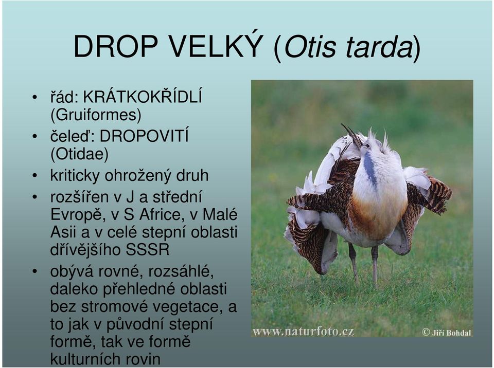 celé stepní oblasti dřívějšího SSSR obývá rovné, rozsáhlé, daleko přehledné