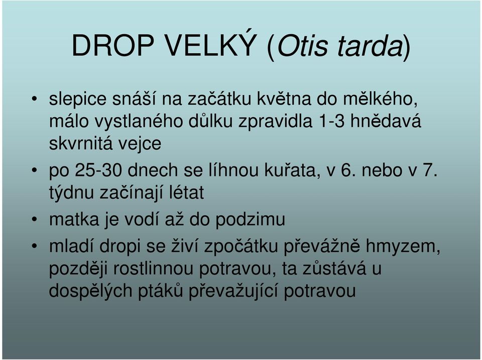 nebo v 7.
