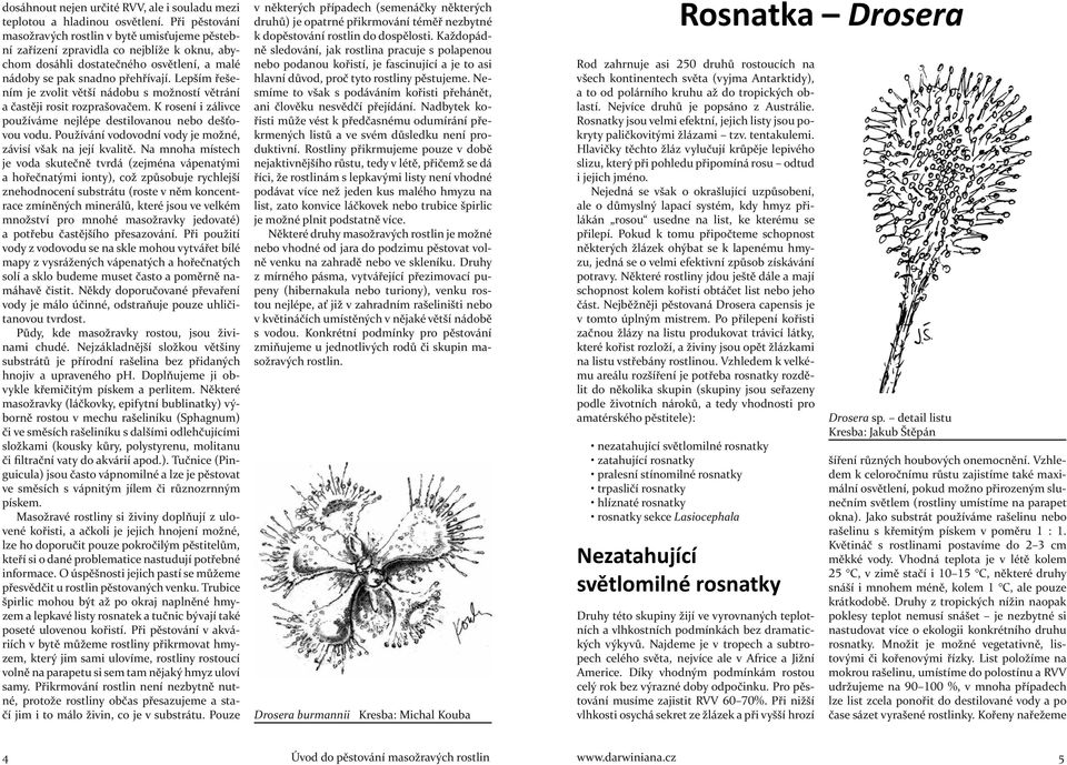 Lepším řešením je zvolit větší nádobu s možností větrání a častěji rosit rozprašovačem. K rosení i zálivce používáme nejlépe destilovanou nebo dešťovou vodu.