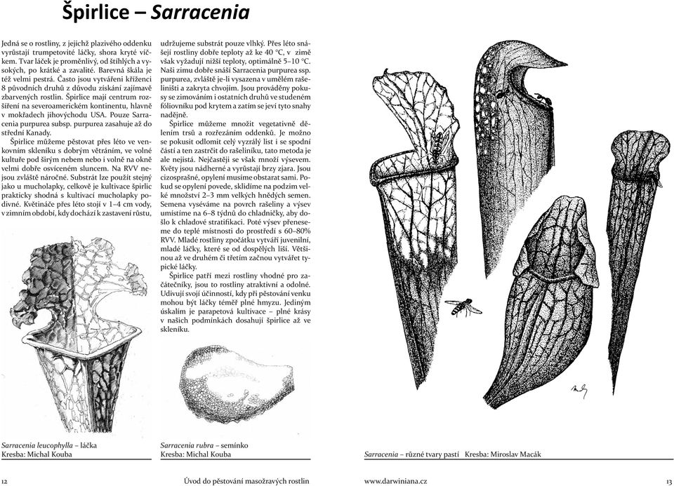 Špirlice mají centrum rozšíření na severoamerickém kontinentu, hlavně v mokřadech jihovýchodu USA. Pouze Sarracenia purpurea subsp. purpurea zasahuje až do střední Kanady.
