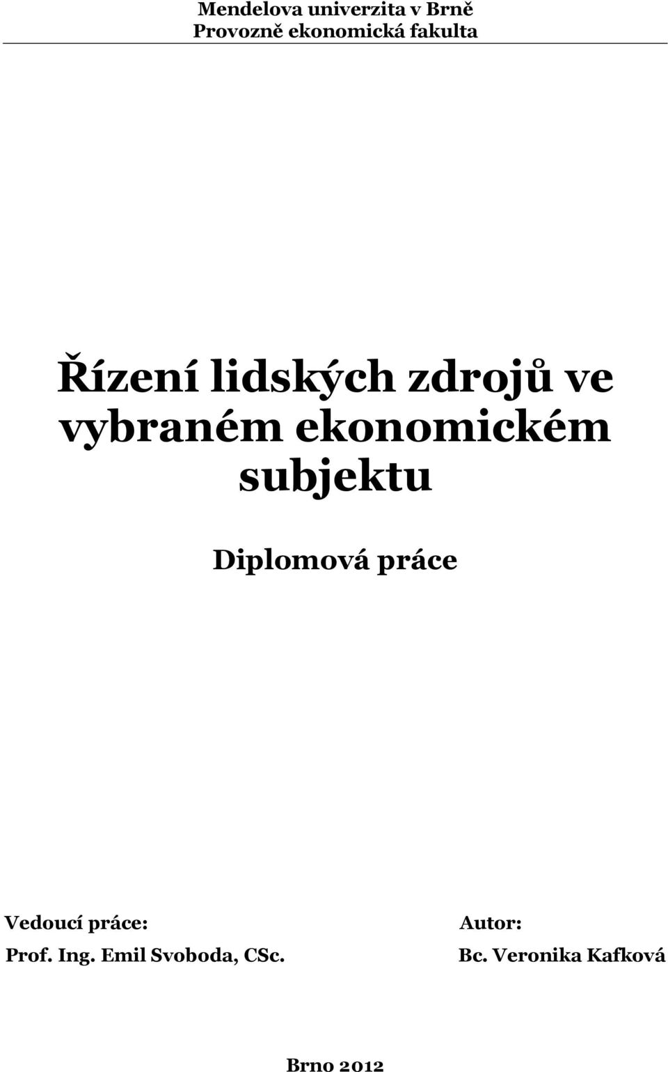 ekonomickém subjektu Diplomová práce Vedoucí práce: