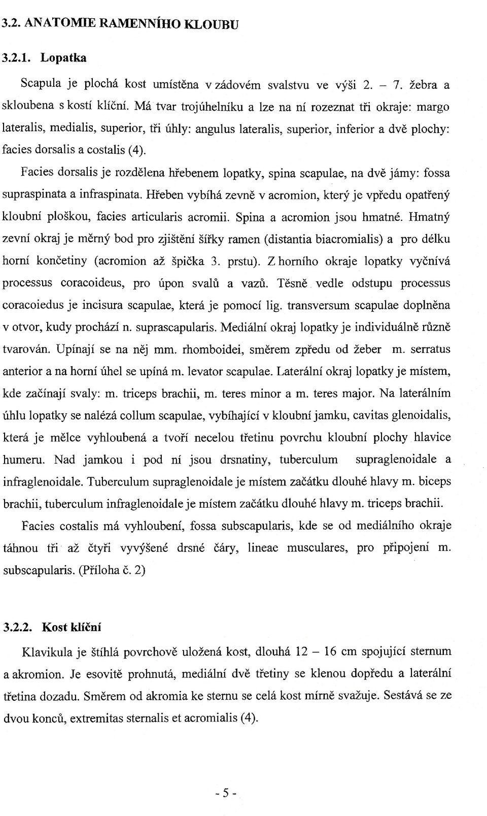 Facies dorsalis je rozdělena hřebenem lopatky, spina scapulae, na dvě jámy: fossa supraspinata a infraspinata.
