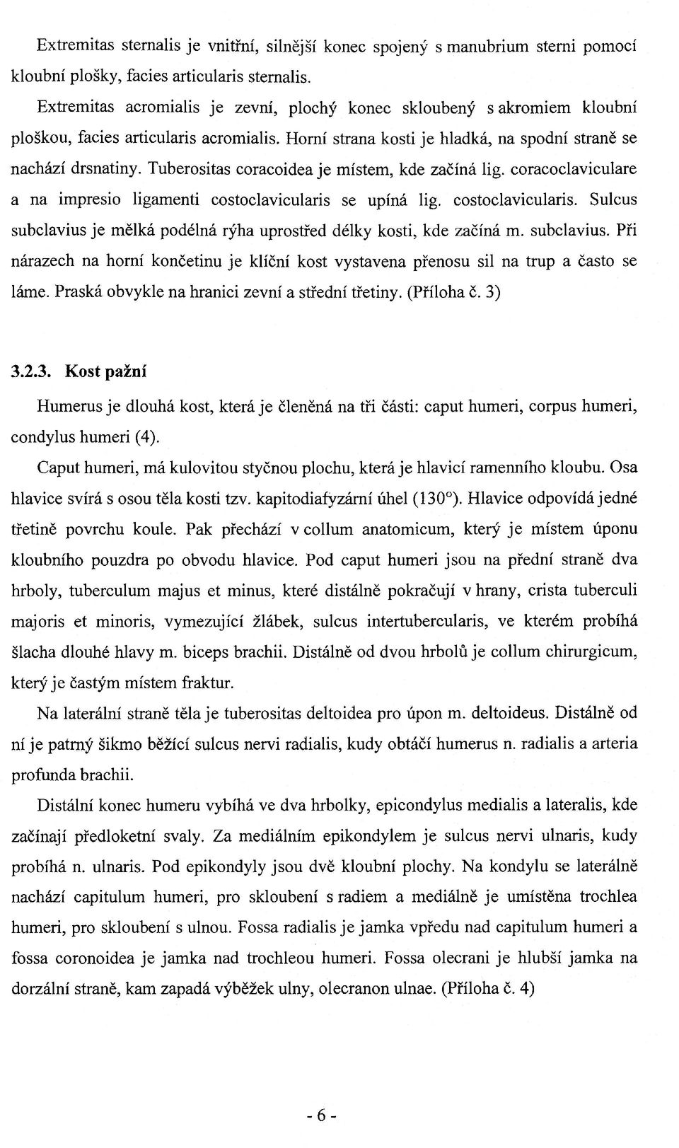 Tuberositas coracoidea je místem, kde začíná lig. coracoclaviculare a na impresio ligamenti costoclavicularis se upíná lig. costoclavicularis. Sulcus subclavius je mělká podélná rýha uprostřed délky kosti, kde začíná m.