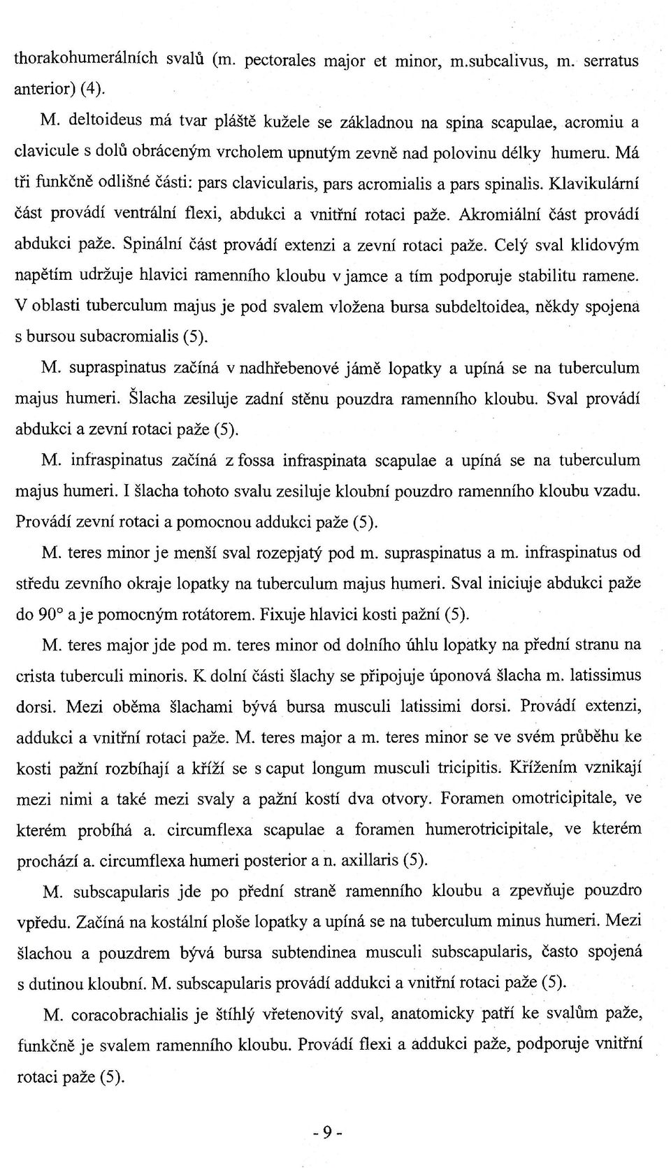 Má tři funkčně odlišné části: pars clavicularis, pars acromialis a pars spinalis. Klavikulární část provádí ventrální flexi, abdukci a vnitřní rotaci paže. Akromiální část provádí abdukci paže.