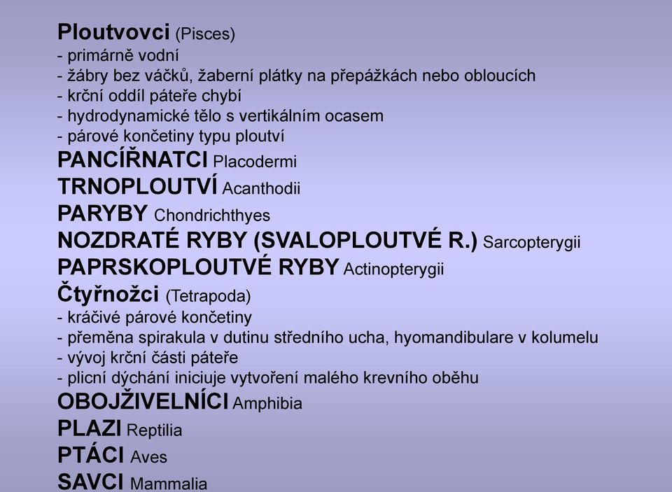 ) Sarcopterygii PAPRSKOPLOUTVÉ RYBY Actinopterygii Čtyřnoţci (Tetrapoda) - kráčivé párové končetiny - přeměna spirakula v dutinu středního ucha,