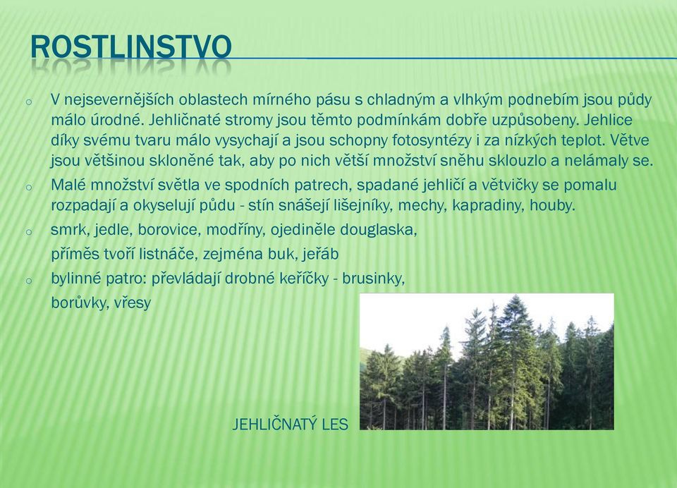 Větve jsu většinu sklněné tak, aby p nich větší mnžství sněhu skluzl a nelámaly se.