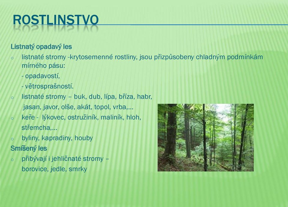 listnaté strmy buk, dub, lípa, bříza, habr, jasan, javr, lše, akát, tpl, vrba, keře -