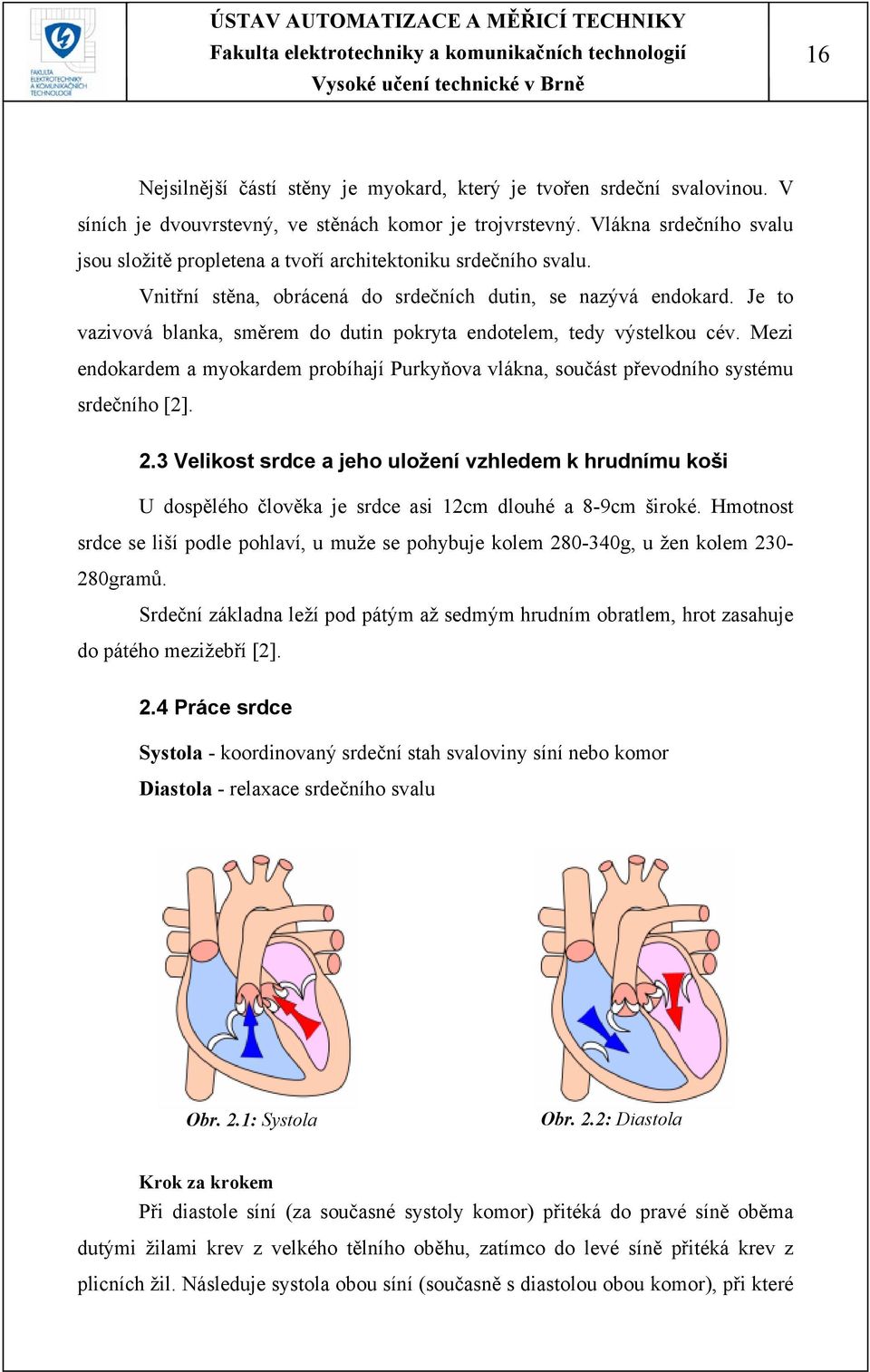 Je to vazivová blanka, směrem do dutin pokryta endotelem, tedy výstelkou cév. Mezi endokardem a myokardem probíhají Purkyňova vlákna, součást převodního systému srdečního [2]. 2.