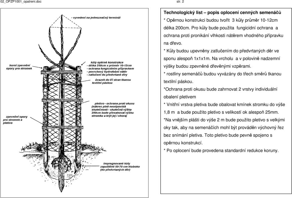 Na vrcholu a v polovině nadzemní výšky budou zpevněné dřevěnými vzpěrami. * rostliny semenáčů budou vyvázány do třech směrů tkanou textilní páskou.