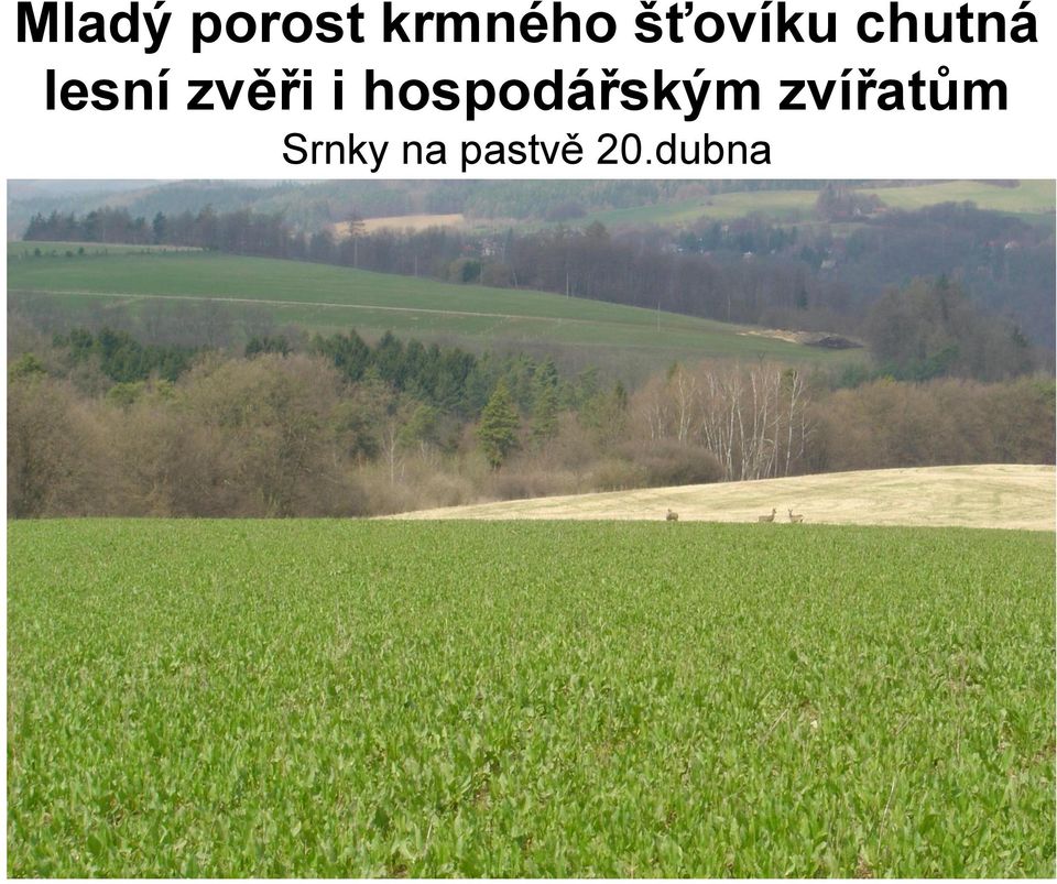 zvěři i hospodářským