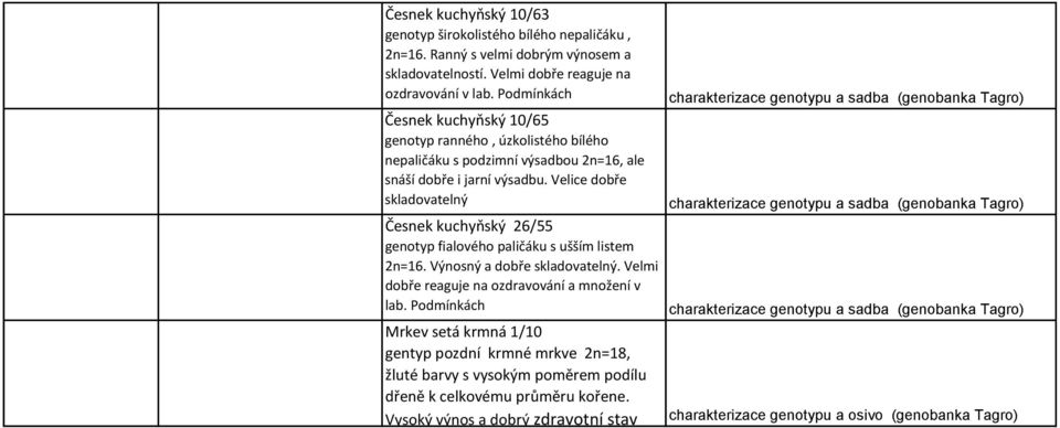 Velice dobře skladovatelný Česnek kuchyňský 26/55 genotyp fialového paličáku s ušším listem 2n=16. Výnosný a dobře skladovatelný.