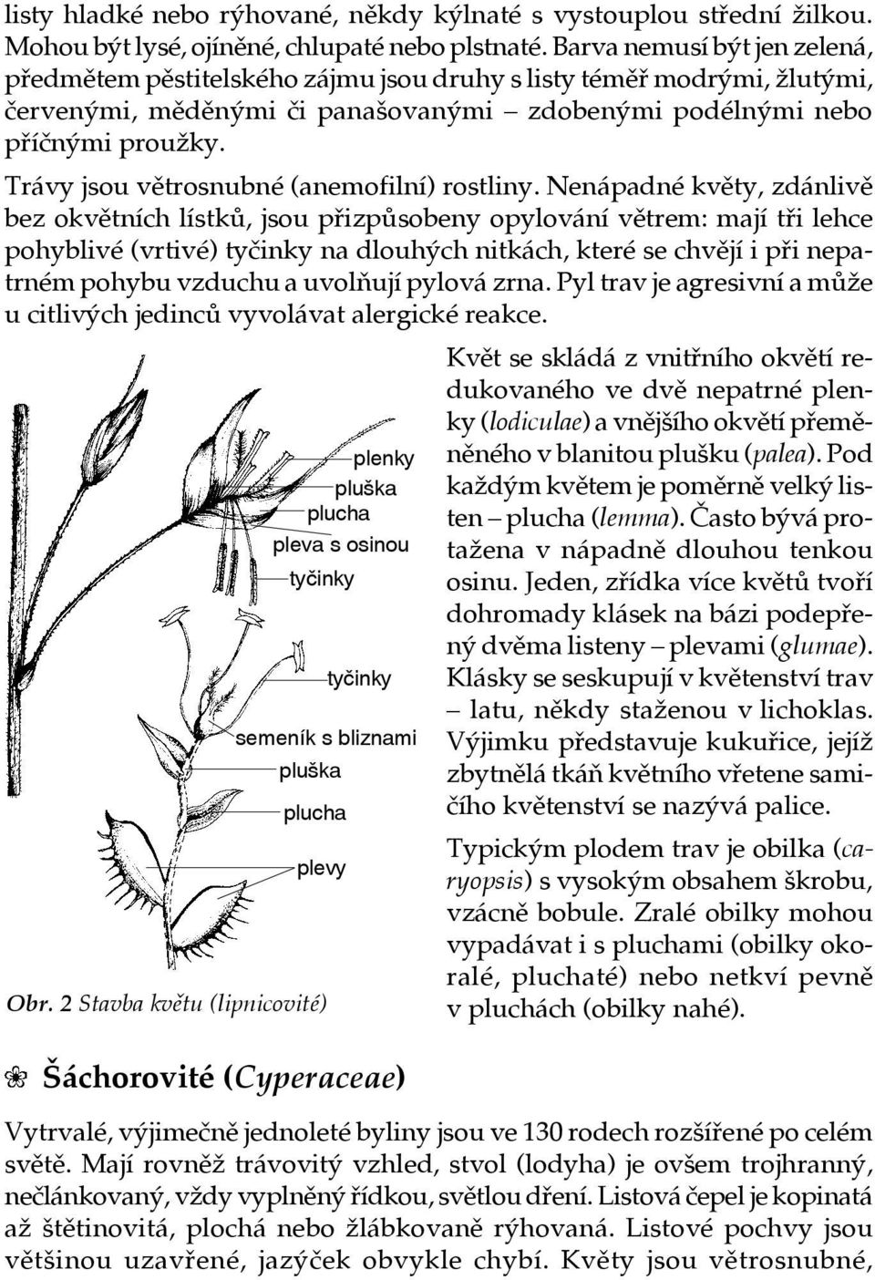 Trávy jsou větrosnubné (anemofilní) rostliny.