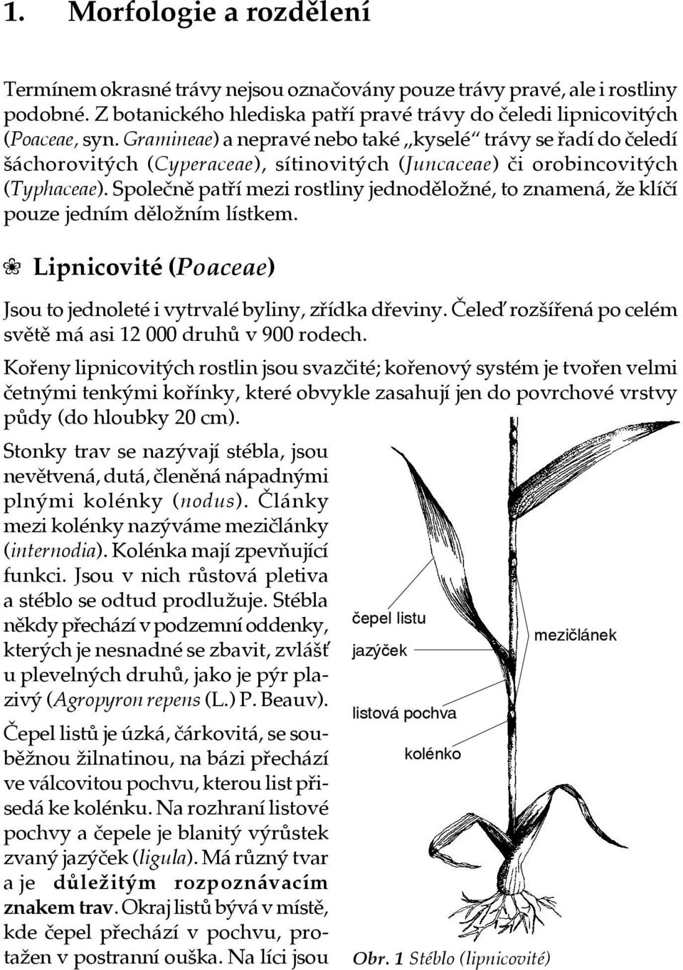 Společně patří mezi rostliny jednoděložné, to znamená, že klíčí pouze jedním děložním lístkem. Lipnicovité (Poaceae) Jsou to jednoleté i vytrvalé byliny, zřídka dřeviny.