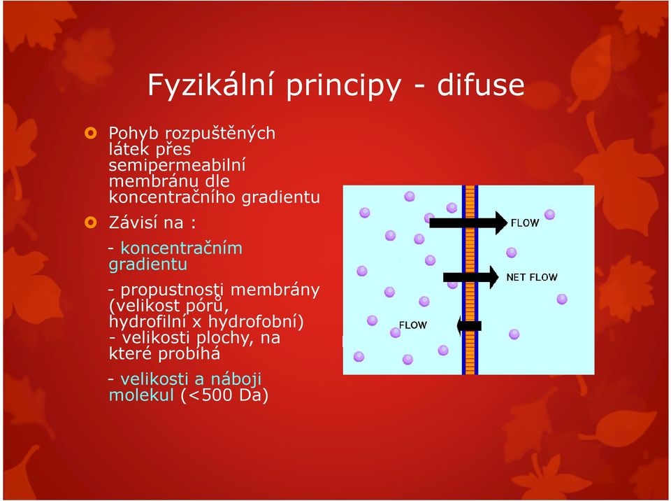 koncentračním gradientu - propustnosti membrány (velikost pórů,