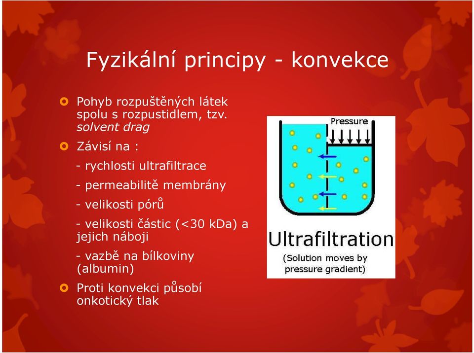solvent drag Závisí na : - rychlosti ultrafiltrace - permeabilitě