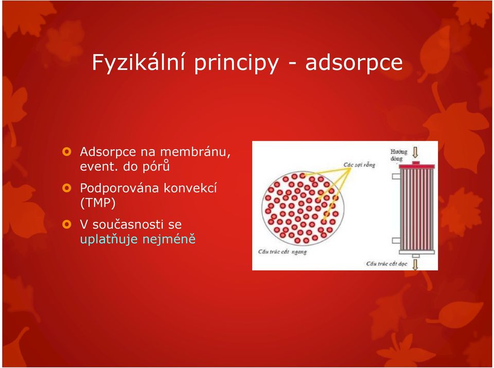 do pórů Podporována konvekcí