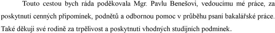 připomínek, podnětů a odbornou pomoc v průběhu psaní