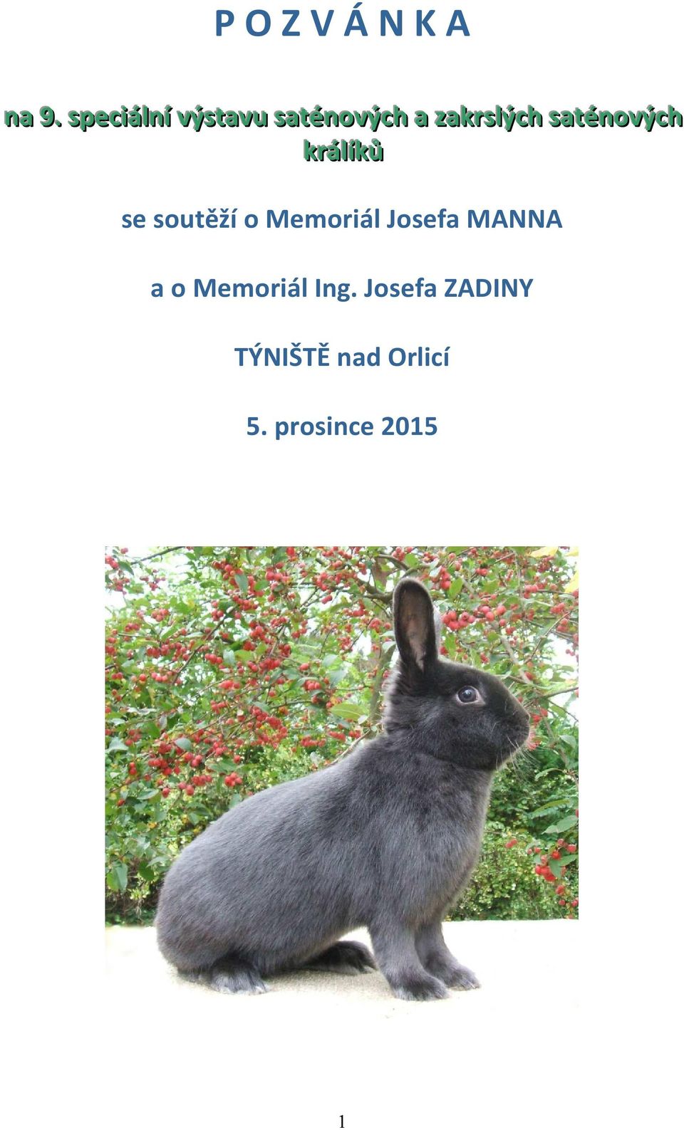 saténových krállííků se soutěží o Memoriál