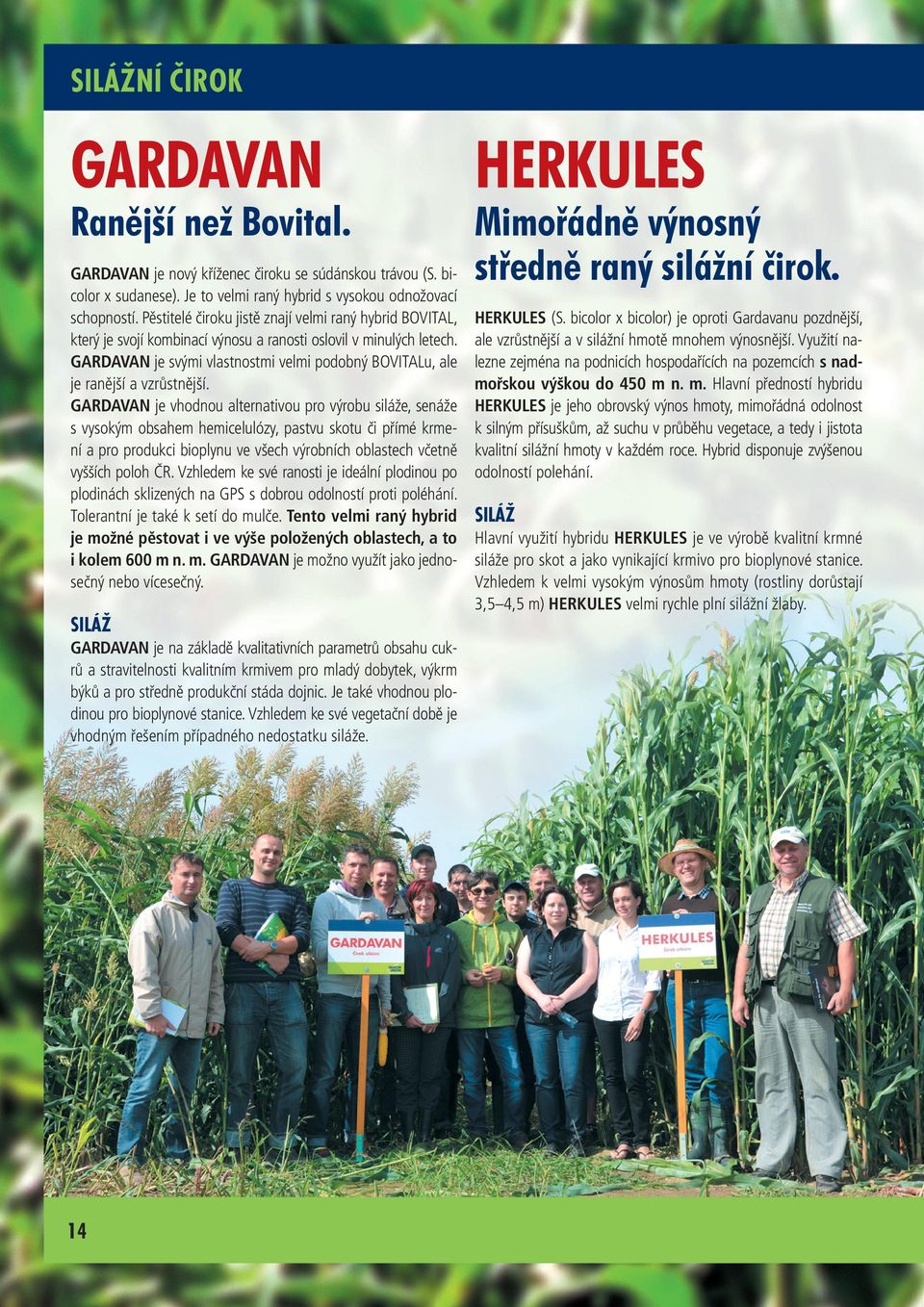 GARDAVAN je svými vlastnostmi velmi podobný BOVITALu, ale je ranější a vzrůstnější.
