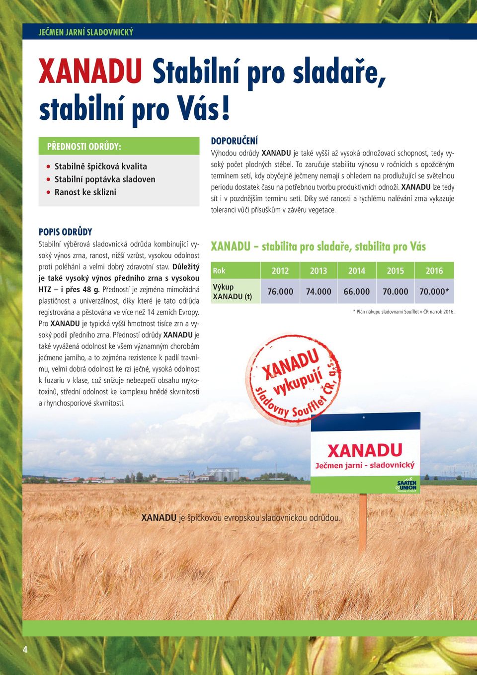 velmi dobrý zdravotní stav. Důležitý je také vysoký výnos předního zrna s vysokou HTZ i přes 48 g.