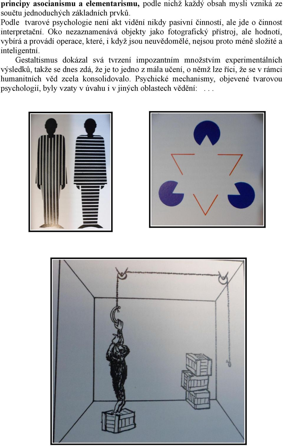 Oko nezaznamenává objekty jako fotografický přístroj, ale hodnotí, vybírá a provádí operace, které, i když jsou neuvědomělé, nejsou proto méně složité a inteligentní.