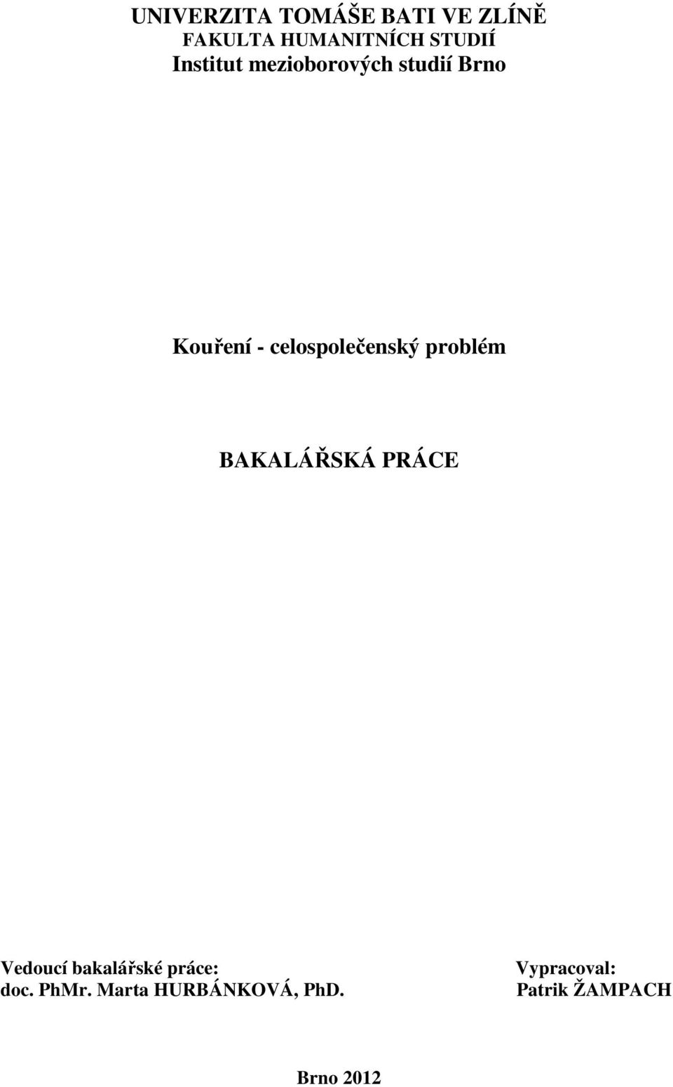 problém BAKALÁŘSKÁ PRÁCE Vedoucí bakalářské práce: doc. PhMr.