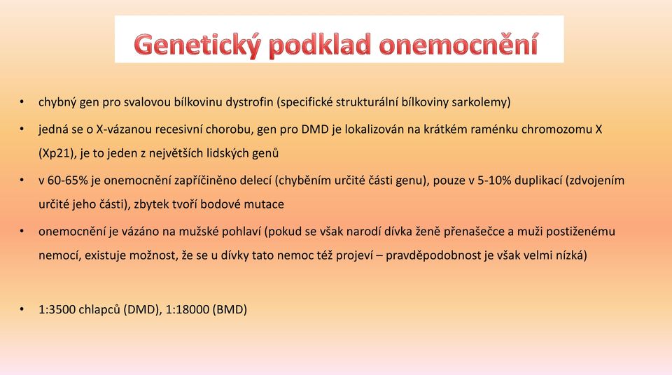 v 5-10% duplikací (zdvojením určité jeho části), zbytek tvoří bodové mutace onemocnění je vázáno na mužské pohlaví (pokud se však narodí dívka ženě