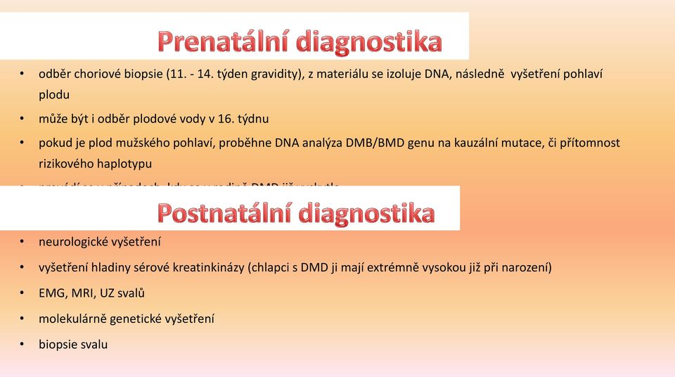 týdnu pokud je plod mužského pohlaví, proběhne DNA analýza DMB/BMD genu na kauzální mutace, či přítomnost rizikového haplotypu